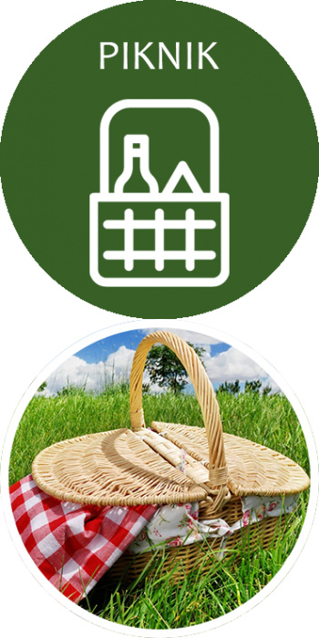 PIKNIK